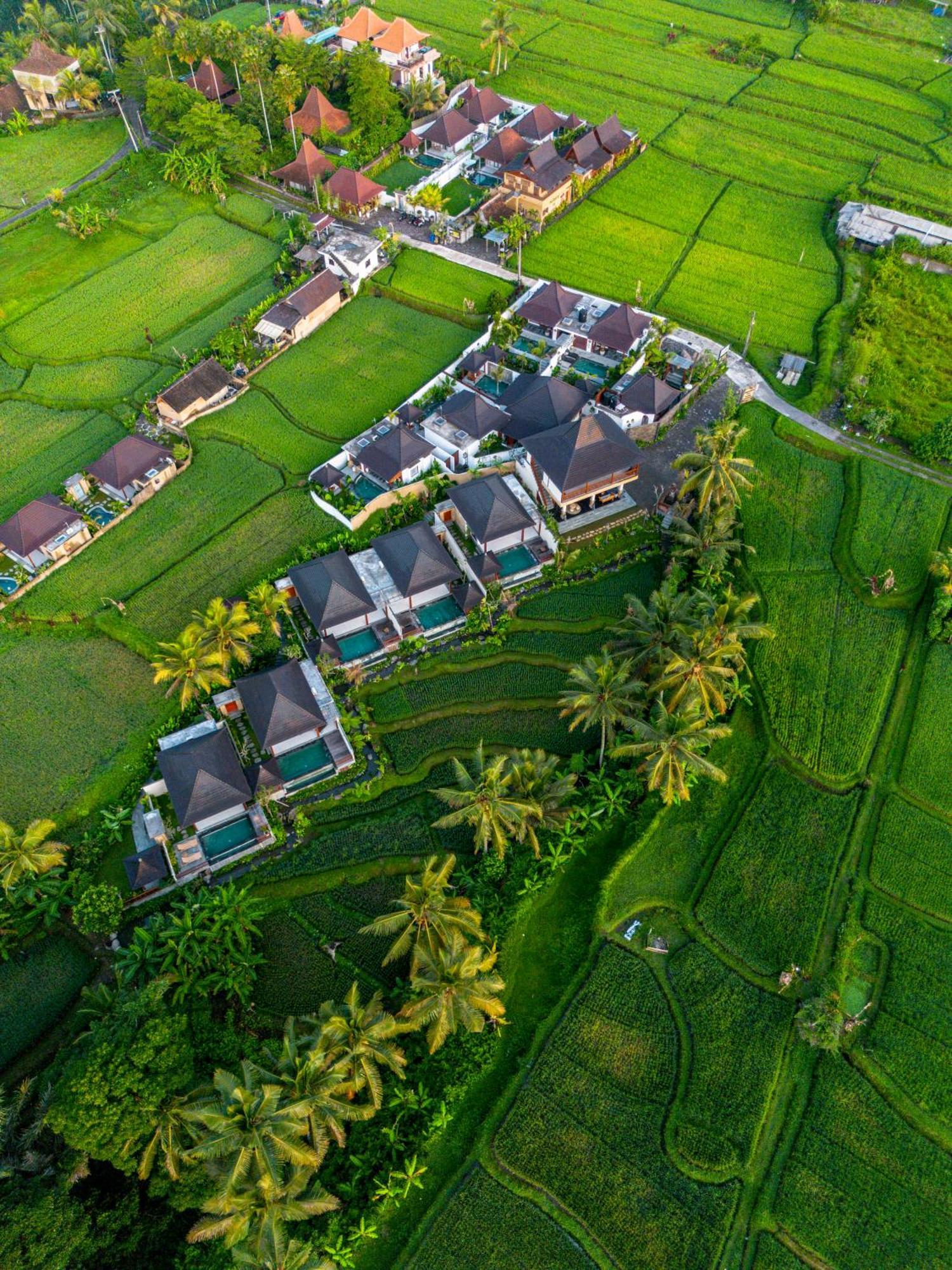 Dewi Kunti Villa เตกากาลัง ภายนอก รูปภาพ